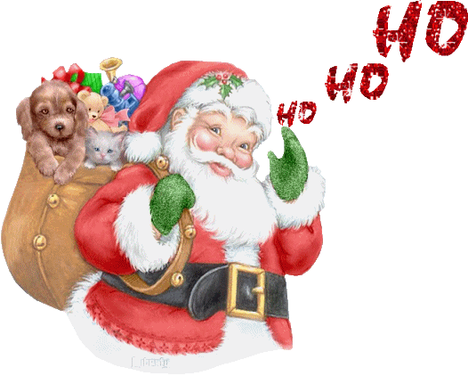 Ne n'oublie pas pere noel